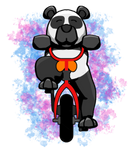 Discover Panda Bear Rides Bicycle
