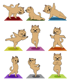 Discover Yoga Mats Norwich Terrier Dog T-shirt
