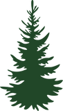 Discover Pine Tree