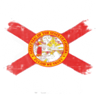 Discover Florida Man Men's T Shirt Don't New York My Florida