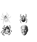 Discover Know Your Parasites Tick Biden Print On Back T-Shirt