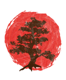 Discover japanese bonsai tree rising sun gift japan