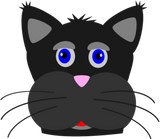 Discover Black Cat