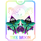 Discover The Moon And Butterfly Tarot Card Occult Goth