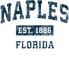 Discover Naples Florida FL Vintage Sports Design Navy Print T Shirts