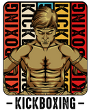 Discover Retro Style Vintage Kickboxing Kickboxer Present