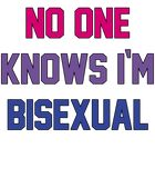 Discover Bisexual Bi Pride Funny Gay Lesbian LGBTQ Clothing Gifts T-Shirt