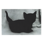 Discover Playboi Carti Cat T Shirt Merch Meme