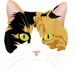 Discover Calico Cat T ShirtCalico Cat T Shirt