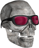 Discover skull with sunglasses 3000 (DD)