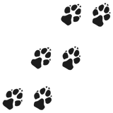 Discover Sweet footprints of a dog paw