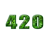 Discover 420 Field