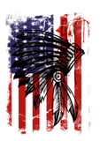 Discover Native American Flag