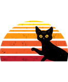 Discover Black Cat Colorful Background Cat Lovers