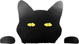 Discover Watercolor Black Cat