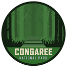 Discover Congaree National Park