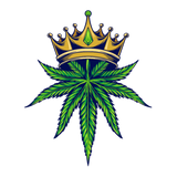 Discover king marijuana