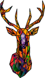 Discover colorful antler