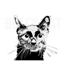 Discover Black Cat Shirt