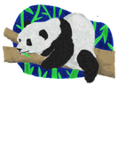 Discover Panda bamboo eating bear chill out