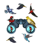 Discover Birdwatching Bird Nerd Great Bird Watcher T-Shirt Binoculars