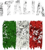 Discover Italia Vintage Distressed Italian Flag