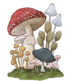 Discover Mushroom T-Shirt Mycology Fungi Foraging Mushroom Whisperer T-Shirt