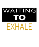 Discover Waiting To Exhale