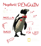 Discover National Geographic Magellanic Penguin