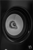 Discover Macro black and white of a speaker