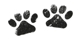 Discover Two Black Paws - Dog Lovers
