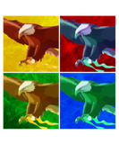 Discover eagle