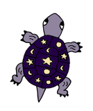 Discover Funky Purple Turtle