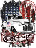 Discover Classic V8 Truck ecological value american