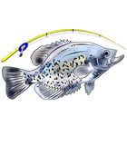 Discover Mens Crappie I Love It When She Bends Over Fishing Men Humor T-Shirt
