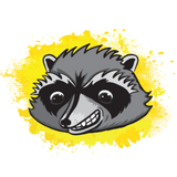 Discover Grinning Raccoon AKA Happy Trash Panda of Toronto