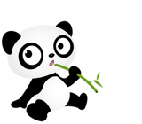 Discover Panda eats bamboo