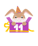 Discover 11th Birthday Gift Kid Bunny Party Animal Rabbit T-Shirts