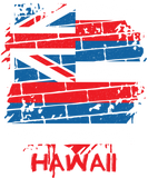 Discover Graffiti Hawaii State Flag T-Shirts