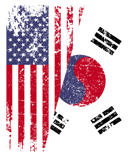 Discover SOUTH KOREAN ROOTS | American Flag | SOUTH KOREA T-Shirts