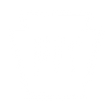 Discover Pittsburgh Penguins Stadium Series Logo PIT T-Shirts