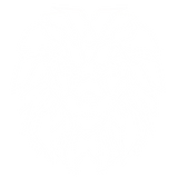 Discover Abstract Lion T-Shirts