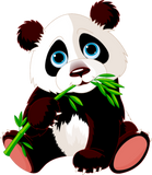 Discover Baby panda bamboo bear animal wildlife cool image