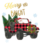 Discover Merry And Bright