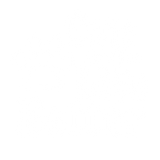 Discover Cats make life better
