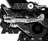 Discover Avro Anson