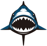 Discover (shark)