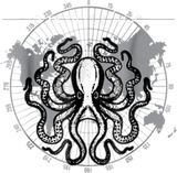 Discover Octopus Circular Math Octopi Lovers