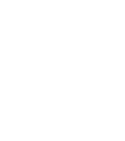 Discover Reputation Snake T Shirt swi.ftie Look What You Made Me Do