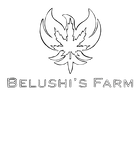 Discover Belushi's Farm Logo Pullover T-shirt